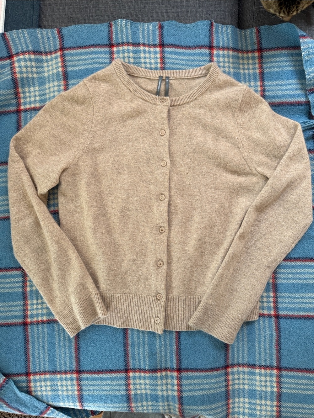 Anthropologie Taupe Cashmere Button-Front Crewneck Cardigan